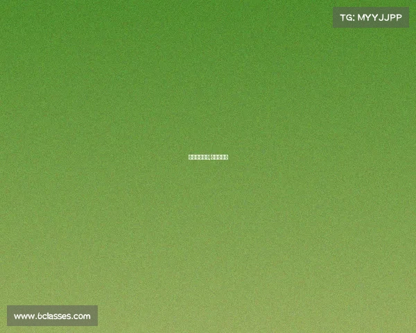 加纳刚果赛事,加纳对南非